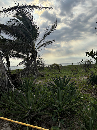 Antón Lizardo Isla Del Medio