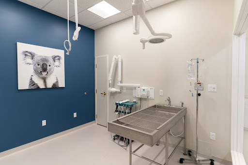 WestVets Animal Hospital - Thumbnail