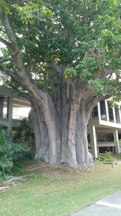 University of Hawaiʻi System