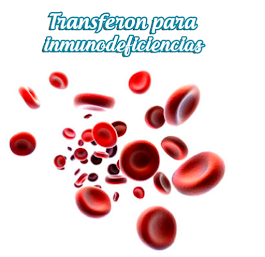 FACTOR DE TRANSFERENCIA CANCUN