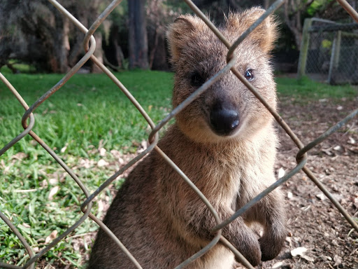 WA TOURS - Thumbnail