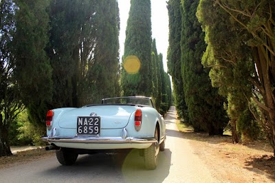 Photos of Special Rent Auto Ceremonies - Weddings