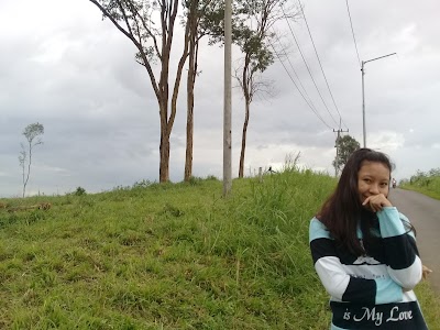Photos of Teak Forest SPMA