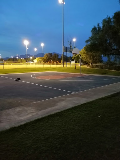 Robert A. Curtis Park - Thumbnail