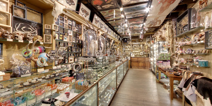 The Evolution Store by null