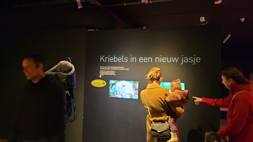Insektenmuseum Entomopolis - Thumbnail