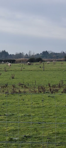 Walnut Tree Farm Park - Newport