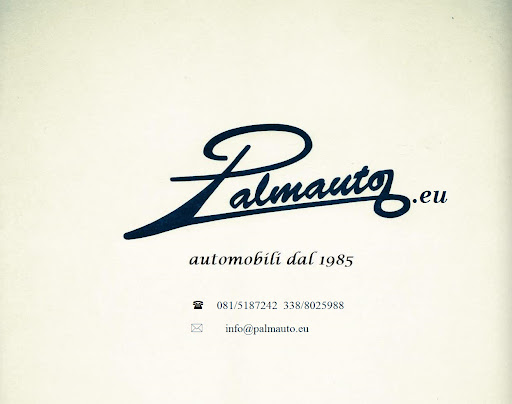 Palmauto - Thumbnail