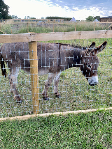 Gemma's Farm - Thumbnail