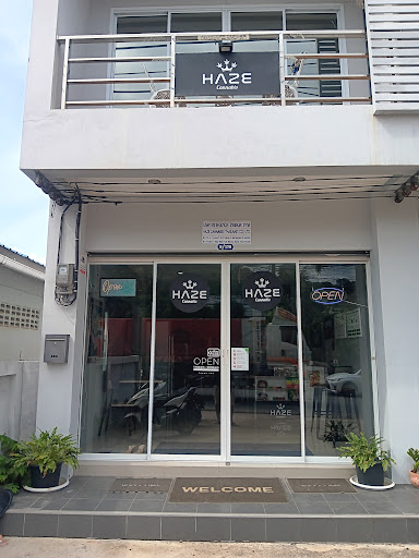 HAZE CANNABIS