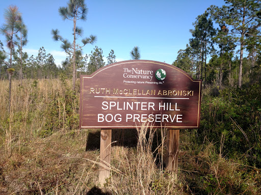 Splinter Hill Bog Preserve - Thumbnail