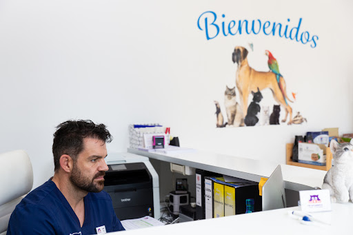 Animalets Centro Veterinario