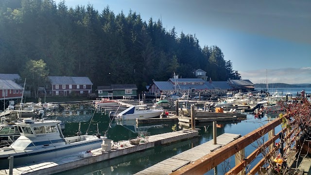 North Island Kayak