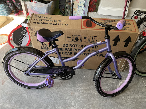 The Bike Bus