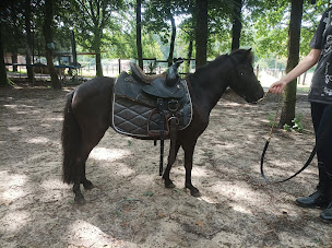Photo n°5 de Aurore Meriot Equitation à Bransles (Centre équestre)