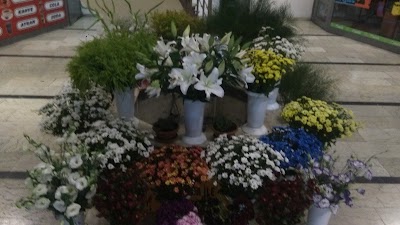 Photos of Onel Mall