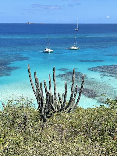 WLMS Yacht Charters - Thumbnail