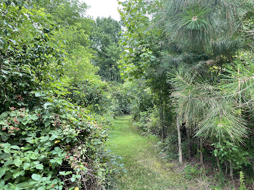 Parking: St. Mary River State Park - Thumbnail