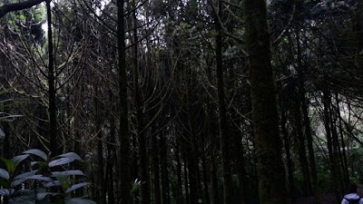 Photos of La Pastora (Parque Regional Natural Ucumar&iacute;)