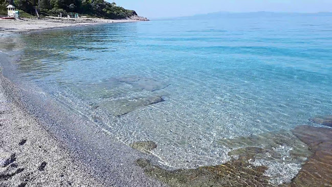 Αξιολογήσεις για το Μηλιά στην Χαλκίδα - Αλλος