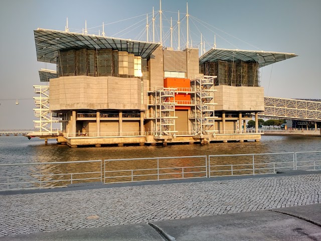 Aquarium / Océanorium de Lisbonne