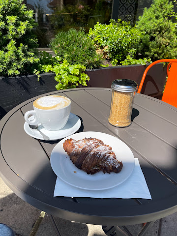 Creme Brulee by null