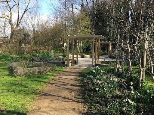 Triangle Community Garden