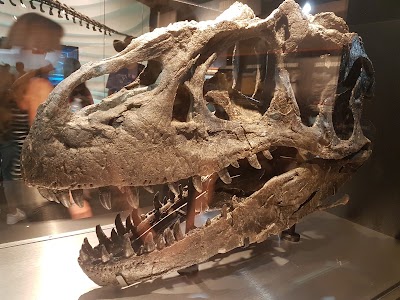 Photos of Creation Museum