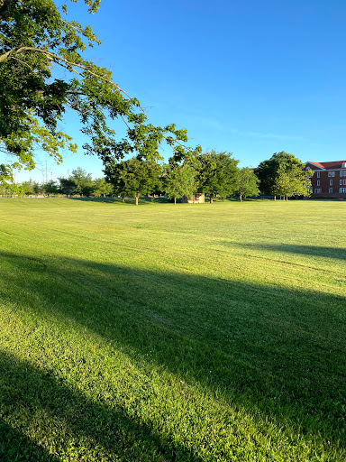 Cornwell Field Gallery - United States