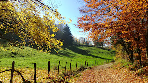 Photo n°15 de Guy de Plinval SAFTI à Cusy (Consultant immobilier)