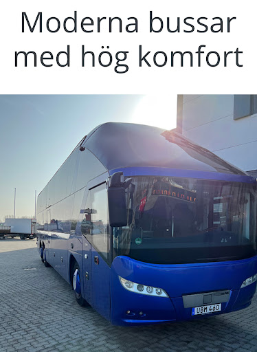 Bingsmarkens Resor AB - Thumbnail
