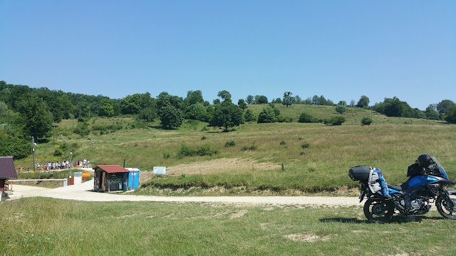 Libearty Bear Sanctuary Zarnesti