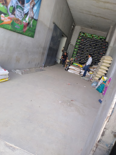 Bodega alimentos - Visual
