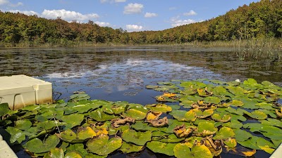 İğneada Floodplain Forests National Park