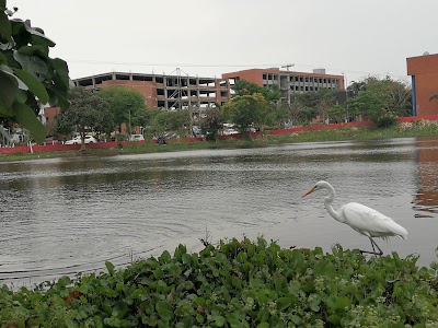 university