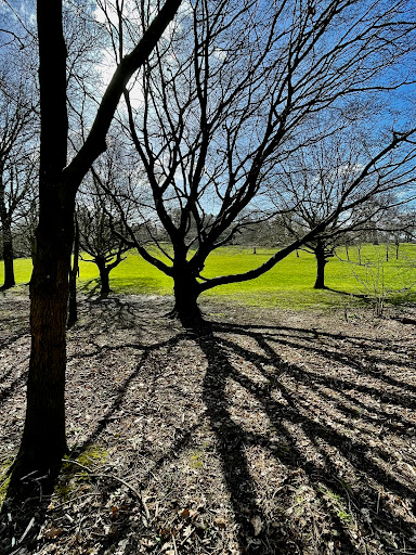 Front Lawn - Visual