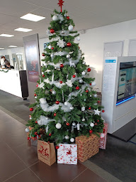 Photo n°30 de Peugeot Gemy Pontivy à Pontivy (Vendeur de voitures d'occasion)