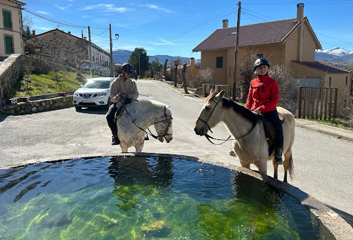 CABALGREDOS - Thumbnail