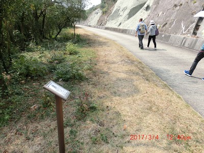 Photos of Tai Long Wan Campsite