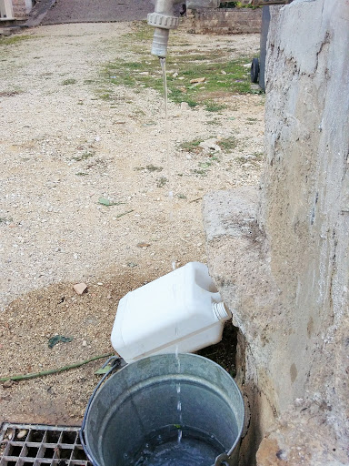 Cimitero Schifanoia - Thumbnail