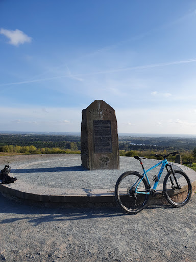 Delamere - Visual