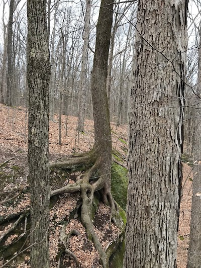 Canyon Forest Nature Preserve