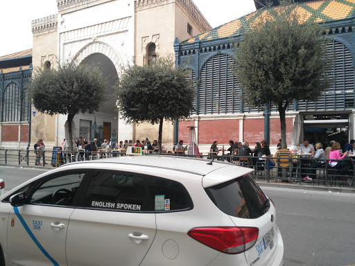 Malagaintaxi.Com - Visual