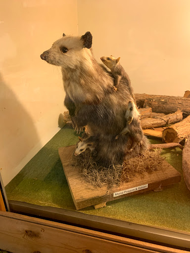 Taxidermy Hall Fame of NC