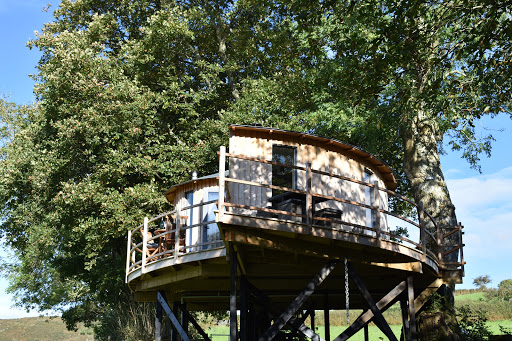 Ty'r Onnen- Wild Welsh Treehouses
