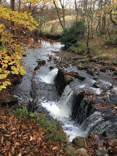 Mill Dam - Visual