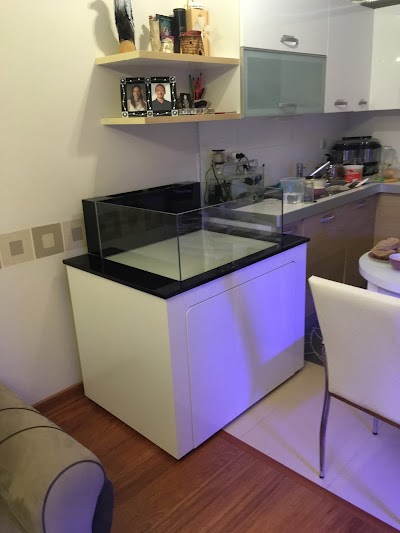 Photos of Beta Aquarium - fresh and saltwater aquariums Ecosystems