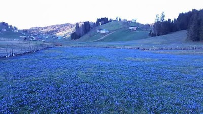 Photos of Kadıralak Plateau