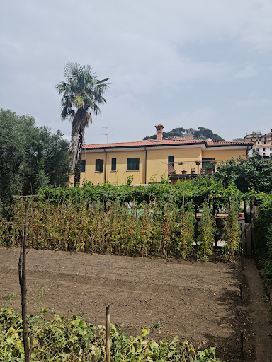 MEDITERRANEO GUSTO - Thumbnail