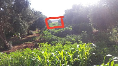 Photos of Reyhanlı Adalet Sarayı